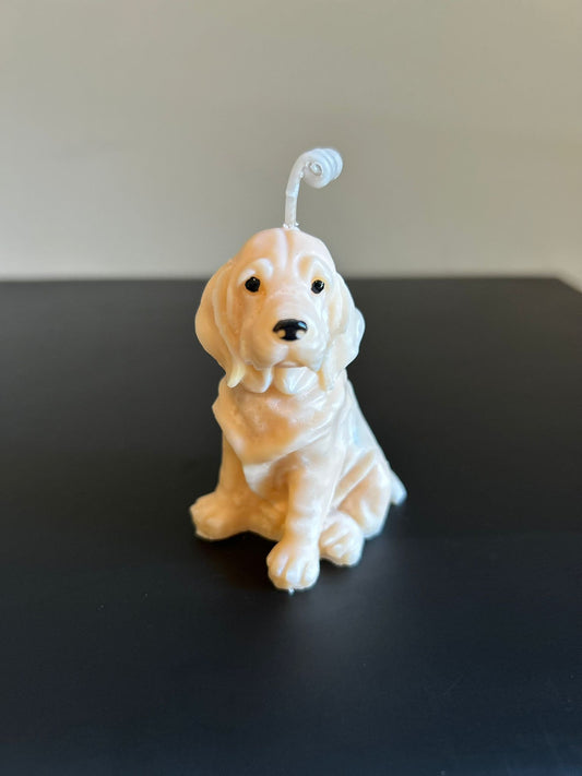 PUPPY #646