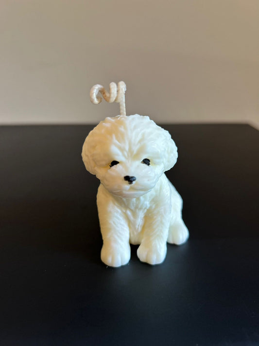 PUPPY #452