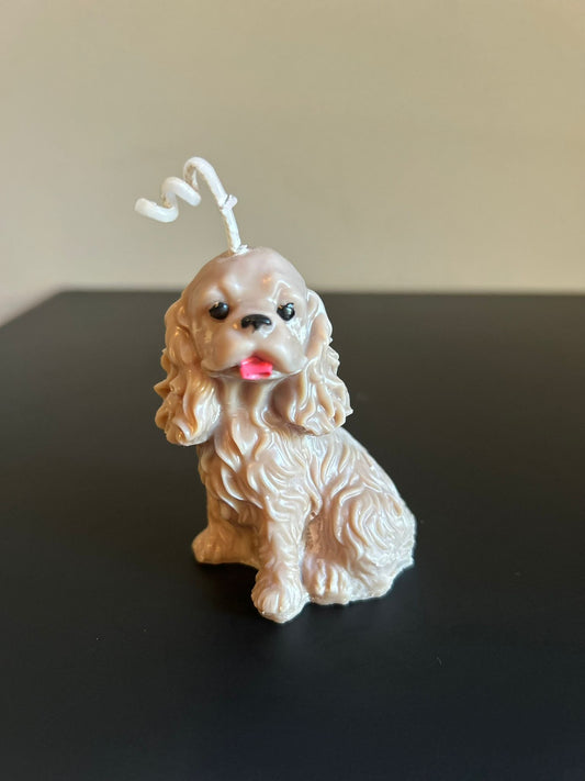 PUPPY #326