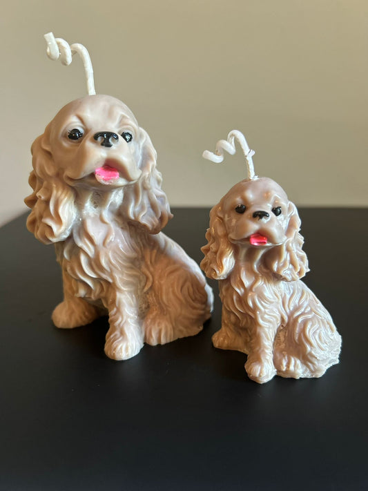 DOG & PUPPY #786