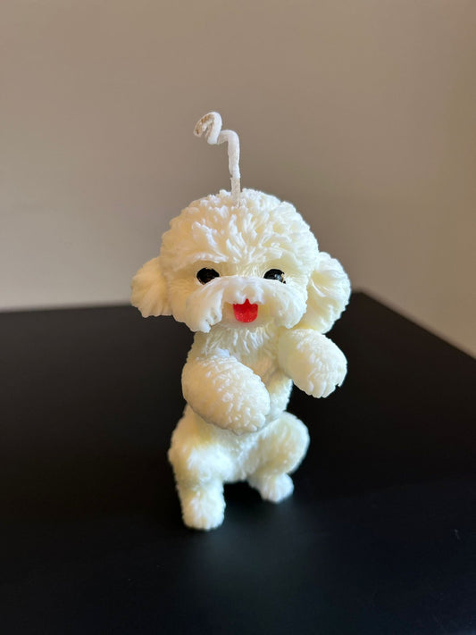 PUPPY #554