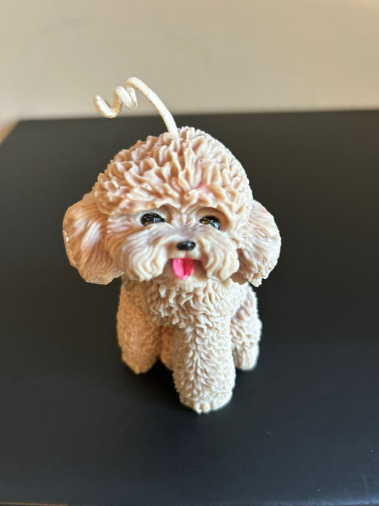 PUPPY #567