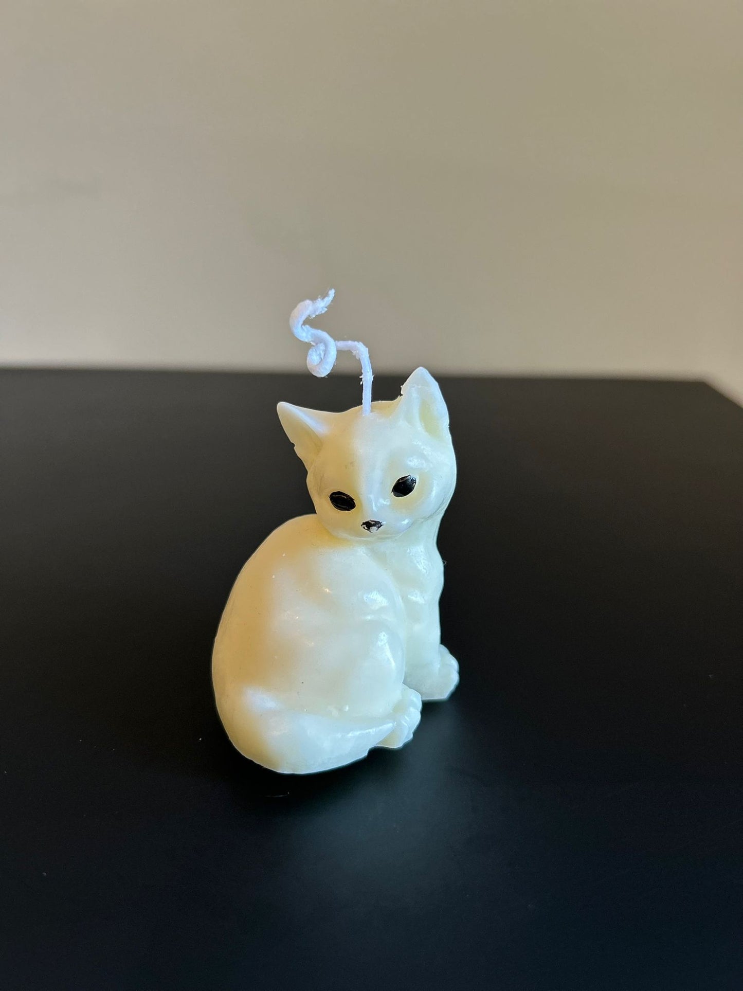 CAT  #132