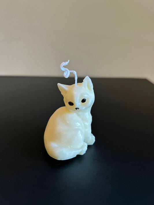 CAT  #132