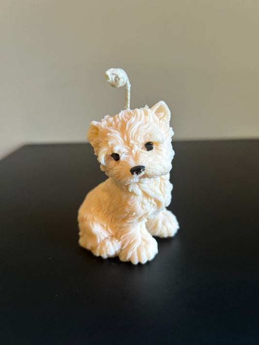 PUPPY #565