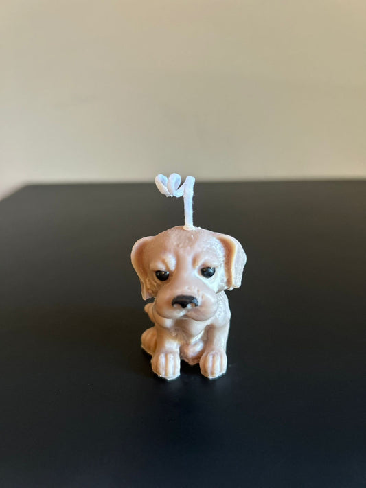 PUPPY #589