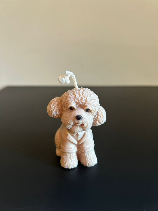 PUPPY #457