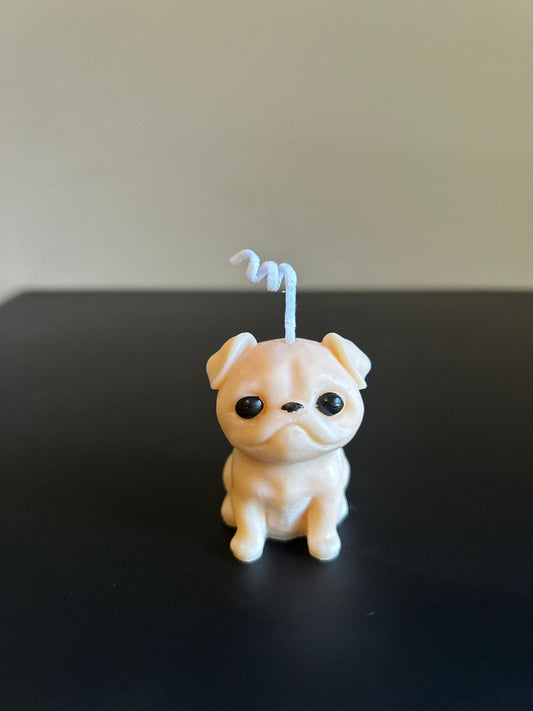 Puppy #916